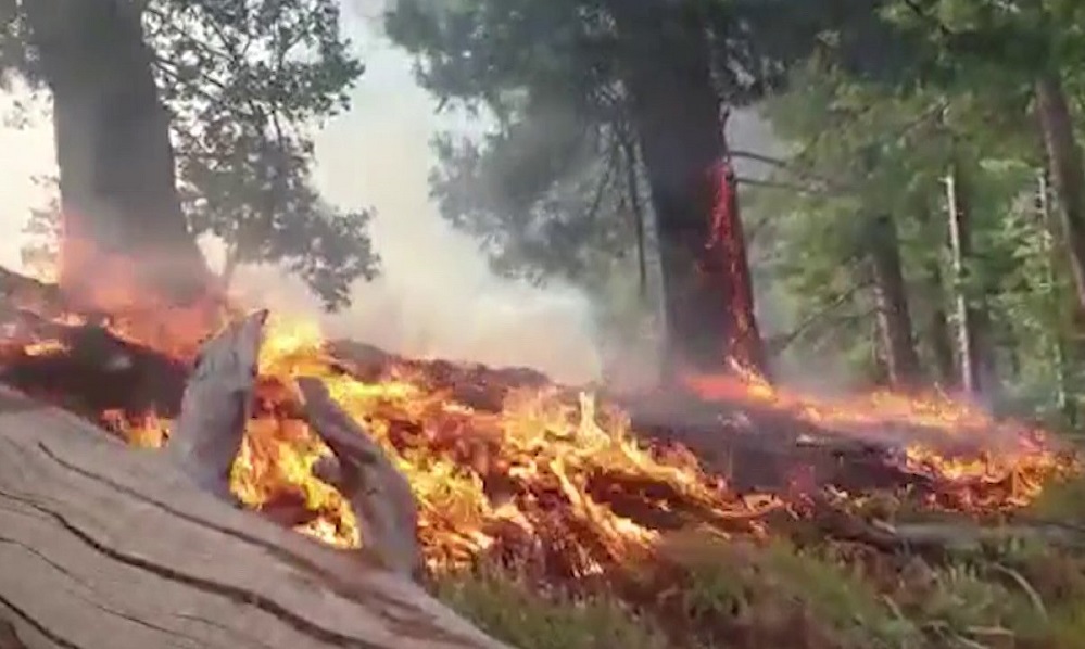 Nuristan forest fire rages for the 11th day