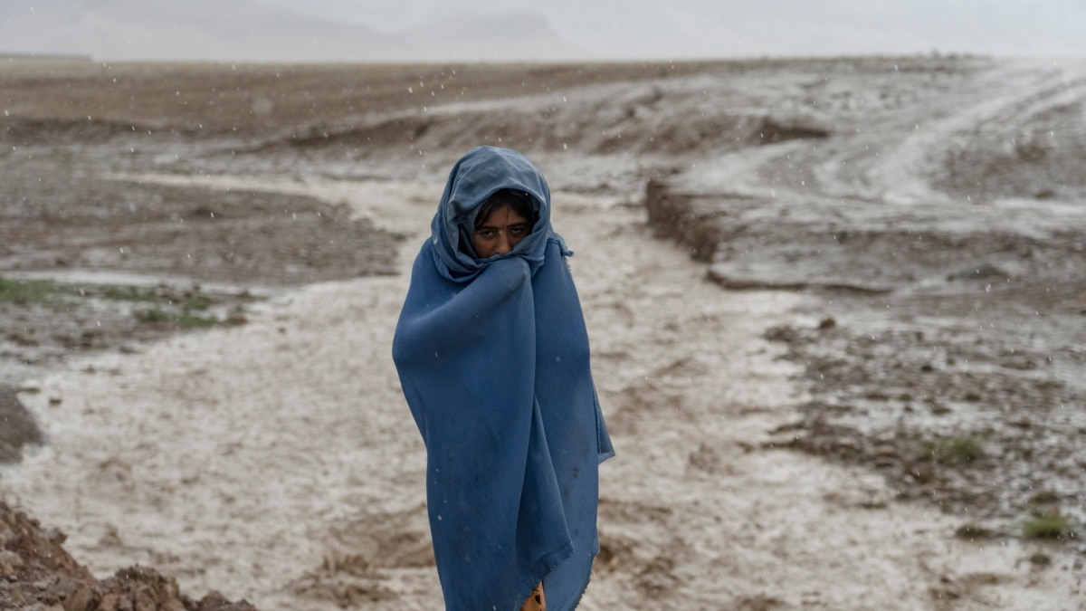 Special Envoys Express 'Grave Concerns' Over Afghan Humanitarian, Economic Situation