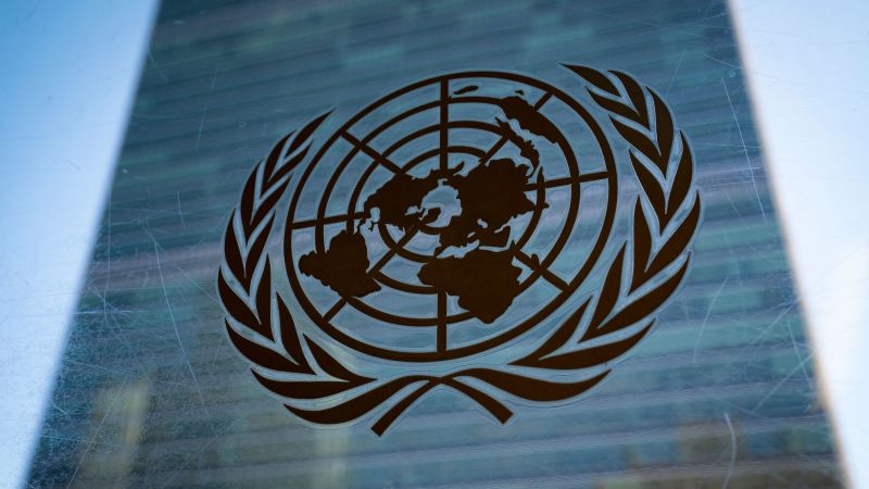 Male Afghan UN workers stay home in solidarity after Taliban bans female staff