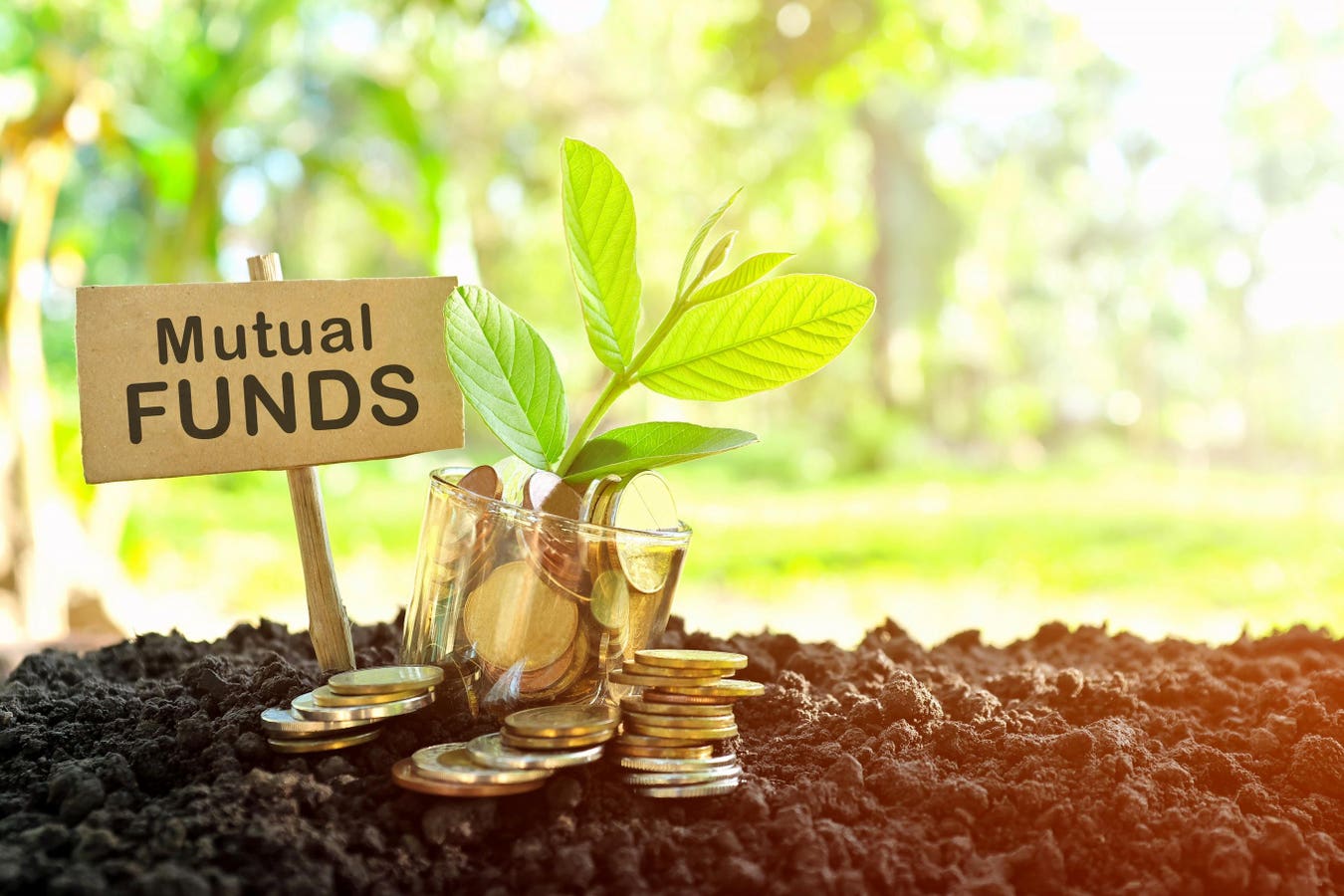 What Is A Mutual Fund? How They Work And How To Invest For Beginners